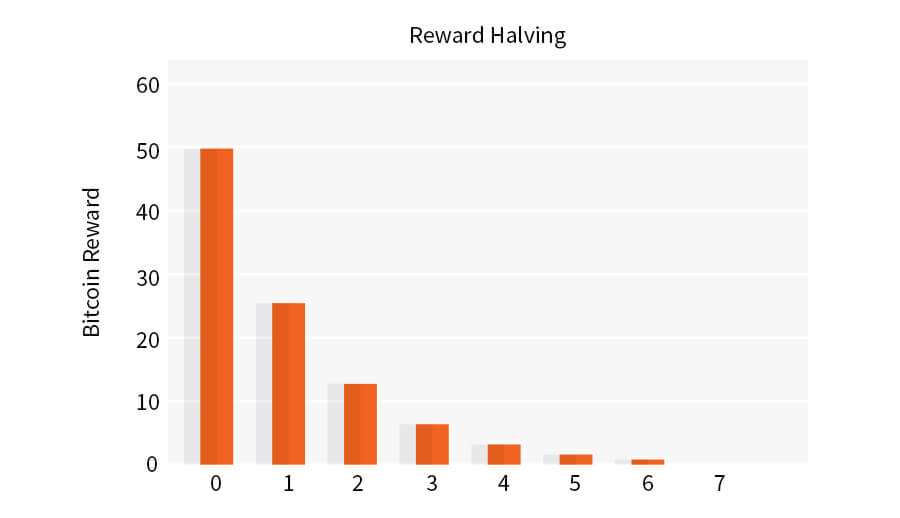 reward halving